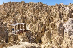 ��� ���� �������
